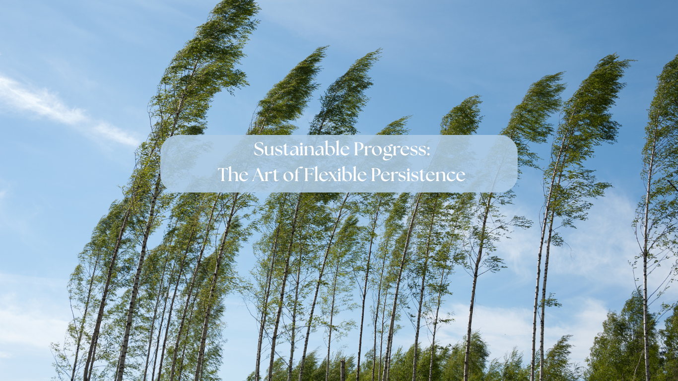 Sustainable Progress: The Art of Flexible Persistence