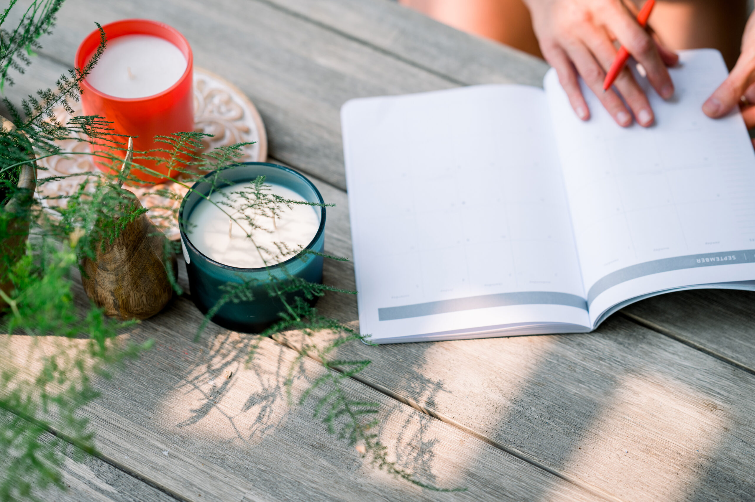 Phynix-By-Design-Qualifications