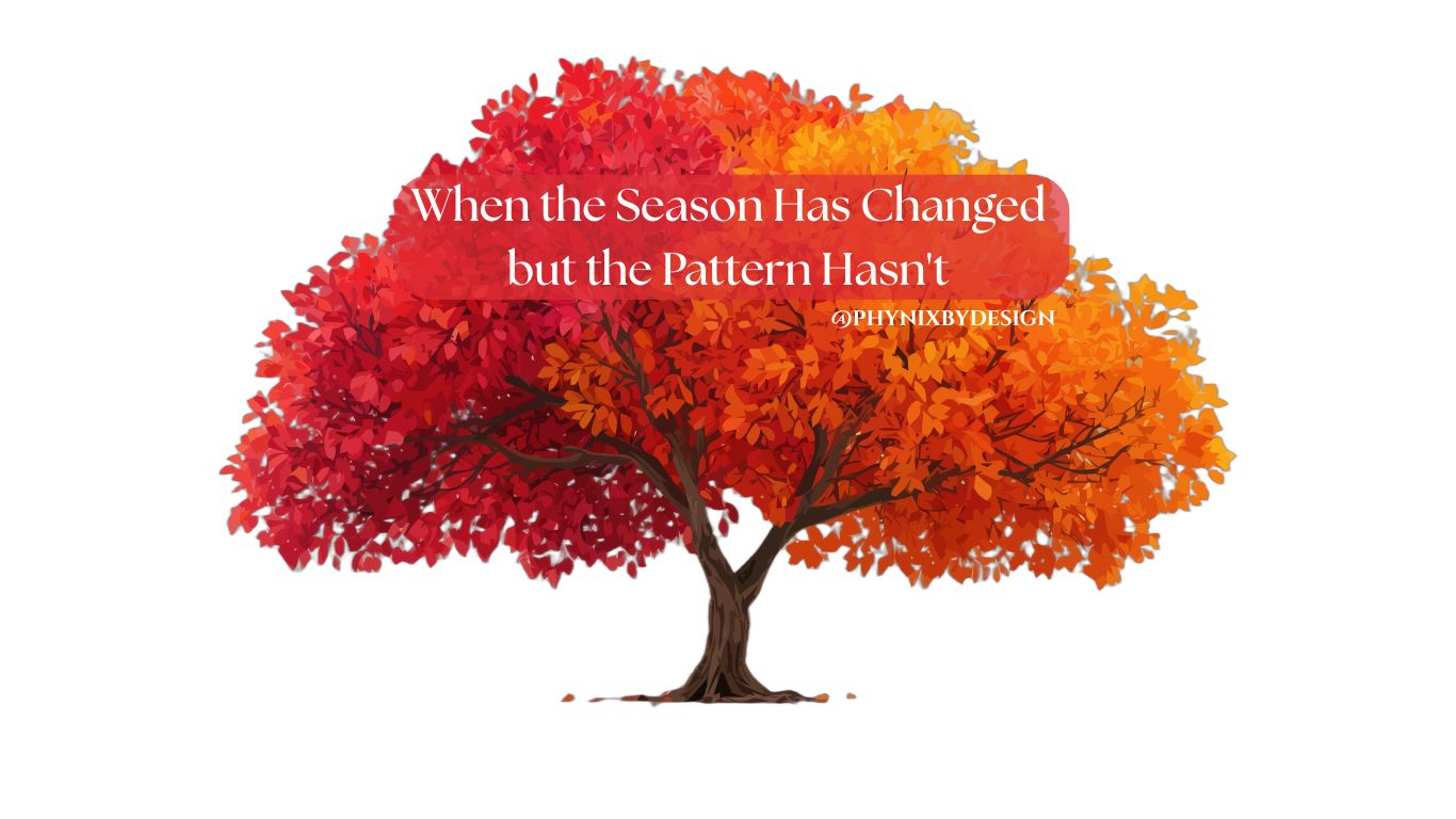 When Habits No Longer Serve You — Noticing the Cost
